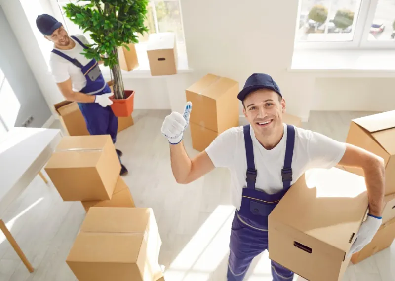Cost of Moving an Office in UAE: Complete Guide for Businesses
