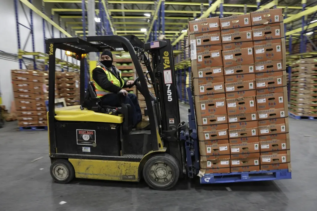 Forklift moving palletised cartons during a warehouse relocation from Dubai to Saudi Arabia